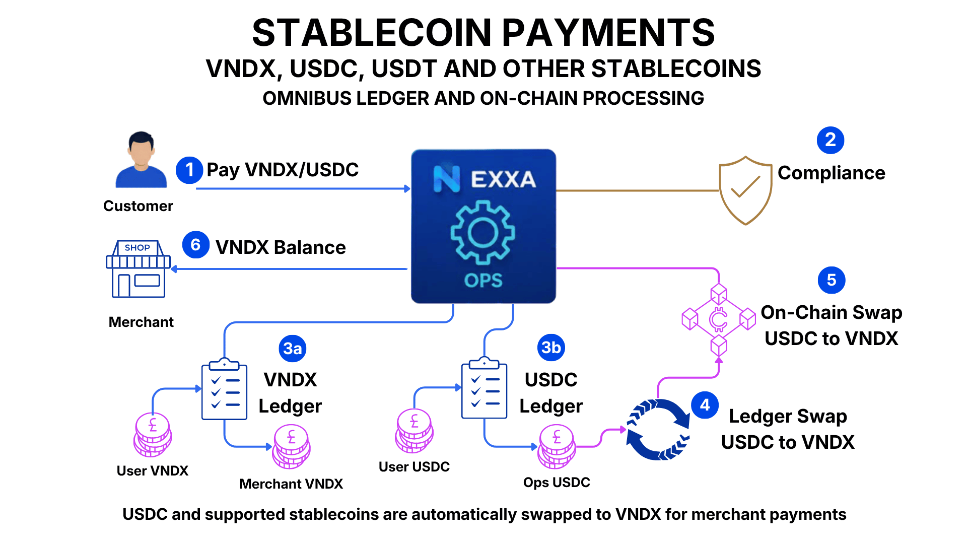 7. Stablecoin Payment